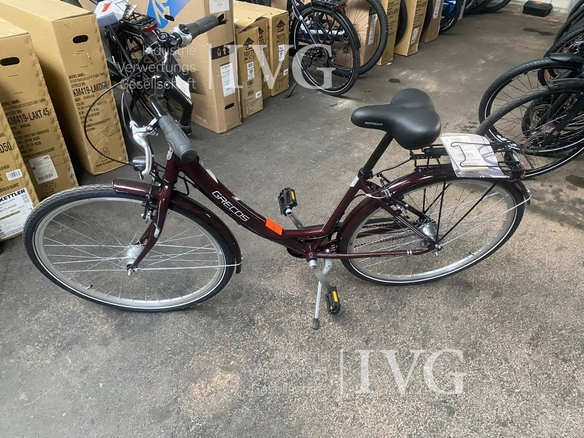 Fahrrad GRECOS Nizza